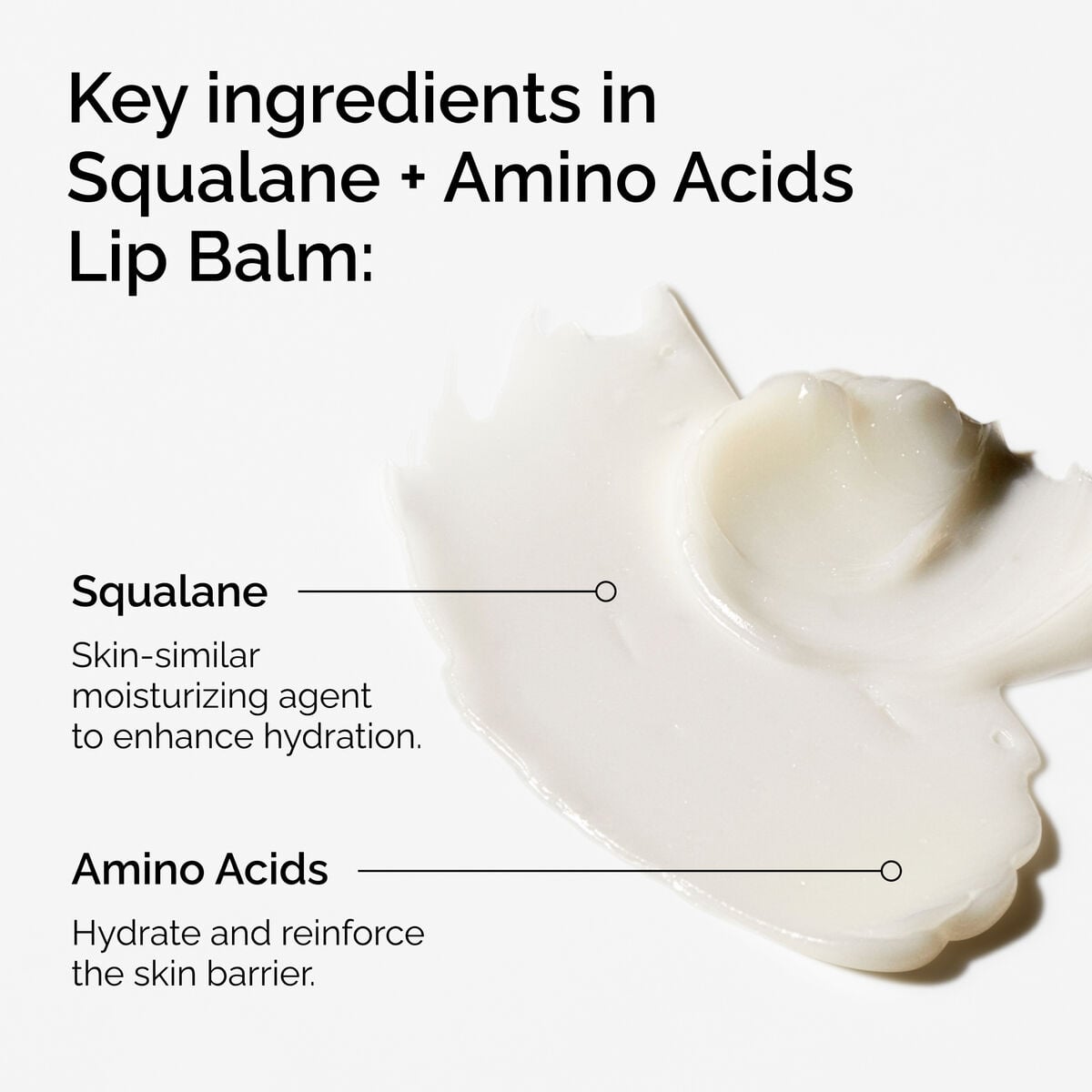 squalane-amino-acids-lip-balm-w0 FY25-D41247-ORD-Web-PDP-Sql-Amino-Lip-1x1-EN-2a.jpg