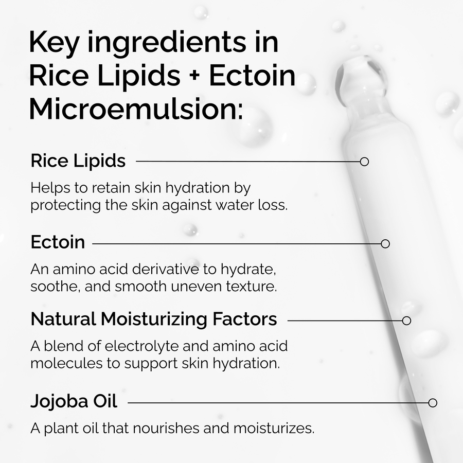 rice-lipids-ectoin-microemulsion-n7 ord-rice-lipids-ectoin-microemulsion-key-ingredients.png