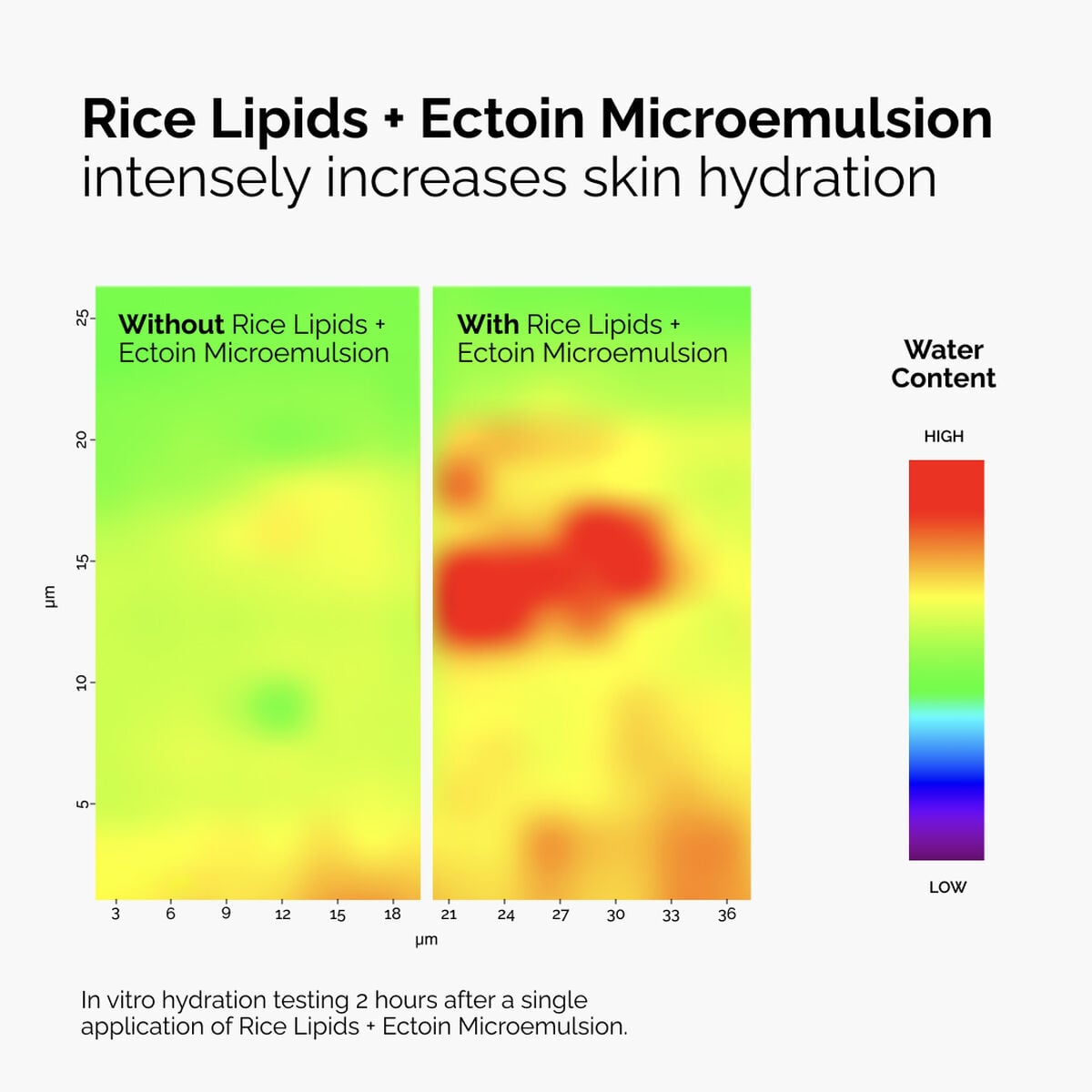 rice-lipids-ectoin-microemulsion-n7 ord-rice-lipids-ectoin-microemulsion-thermal-before-after.jpg